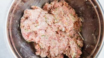 meatball ingredients mixed together in a large bowl