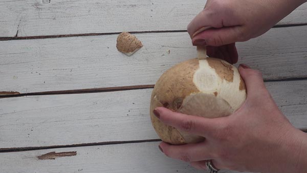 peeling the skin off a jicama