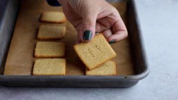 holding a homemade graham cracker